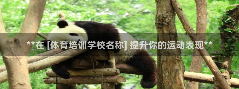 富联娱乐服务站怎么样：**在 [体育培训学校名称] 