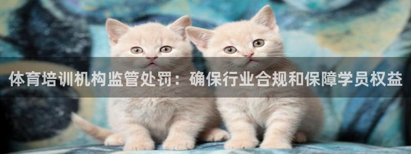 富联官网注册流程：体育培训机构监管处罚：确保行业合规