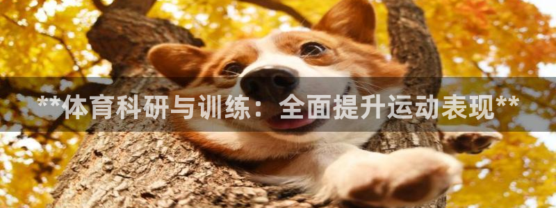 富联平台注册地址：**体育科研与训练：全面提升运动表