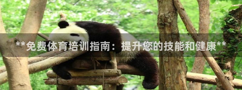 富联娱乐集7O777：**免费体育培训指南：提升您的