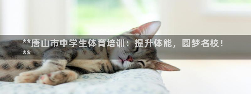 富联娱乐军7O777：**唐山市中学生体育培训：提升