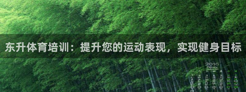 富联平台登录注册账号：东升体育培训：提升您的运动表现