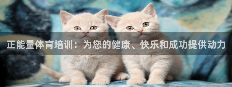 富联娱乐是什么时候开的：正能量体育培训：为您的健康、