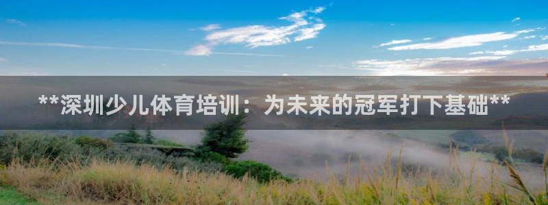 富联平台叩 411O31 富联：**深圳少儿体育培训