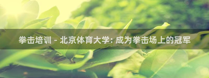 富联官方网站首页入口下载：拳击培训 - 北京体育大学