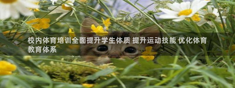 富联娱乐在线注册链接是什么意思：校内体育培训全面提升
