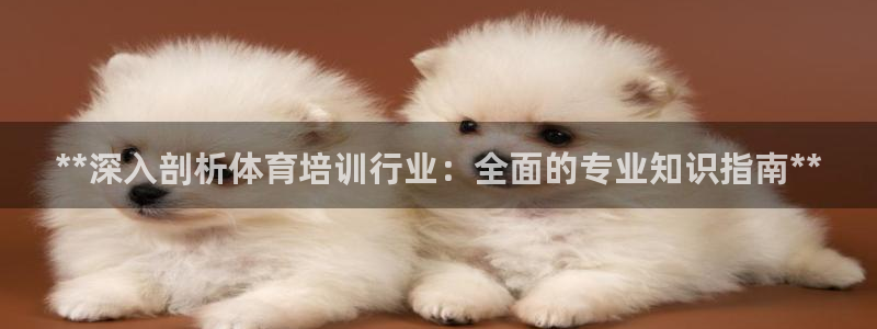 富联平台升 5O6917 平台：**深入剖析体育培训