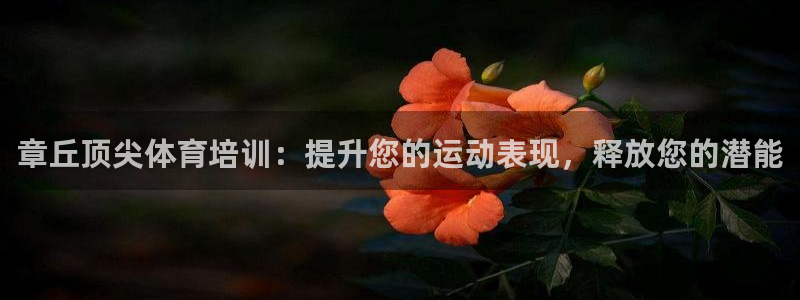 富联娱乐平台能挣到钱吗：章丘顶尖体育培训：提升您的运