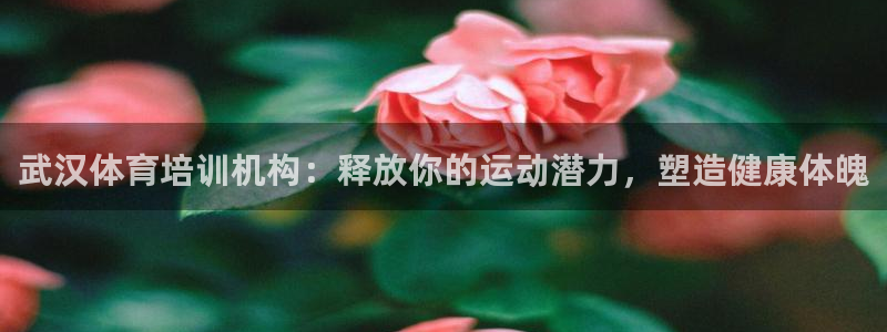 富联申购哪天上市交易：武汉体育培训机构：释放你的运动