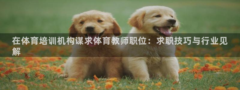 富联平台半7O777：在体育培训机构谋求体育教师职位