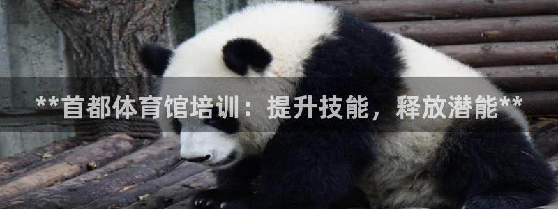 富联平台用户登陆失败：**首都体育馆培训：提升技能，