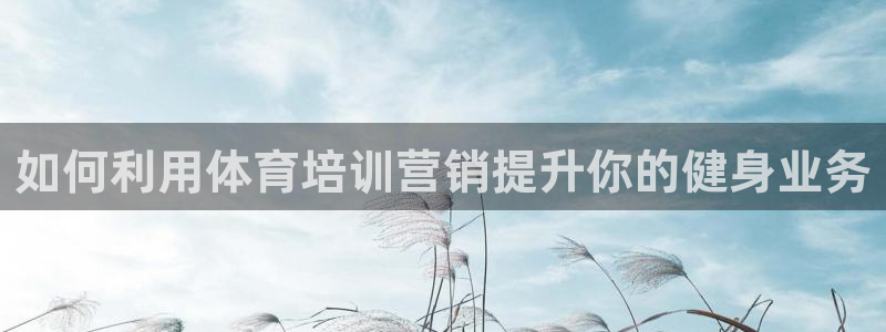 富联娱乐登录注册入口官网下载：如何利用体育培训营销提