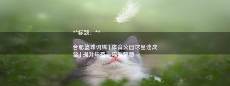 富联平台赢钱不给退怎么办：**标题：**

合肥篮球