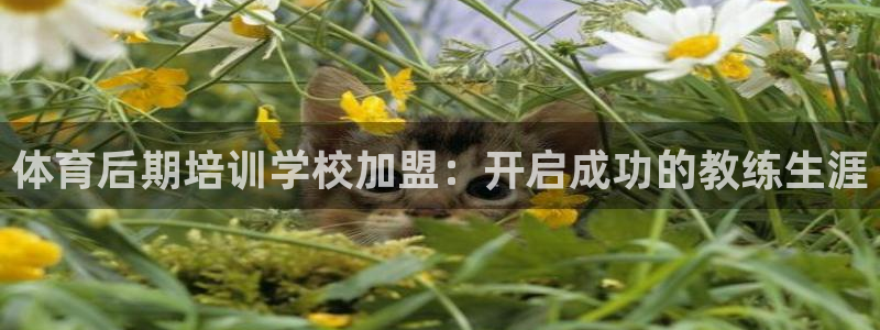 富联平台总代：体育后期培训学校加盟：开启成功的教练生
