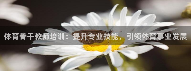 富联平台用户登陆失败：体育骨干教师培训：提升专业技能