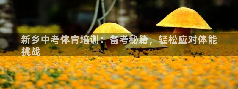 富联娱乐华 5O6917 娱乐：新乡中考体育培训：备