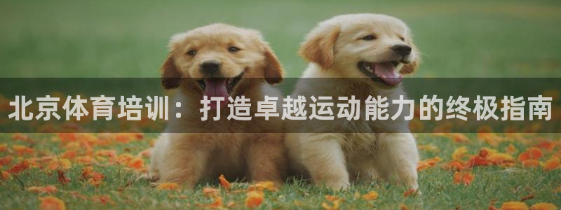 富联娱乐爱7O777：北京体育培训：打造卓越运动能力