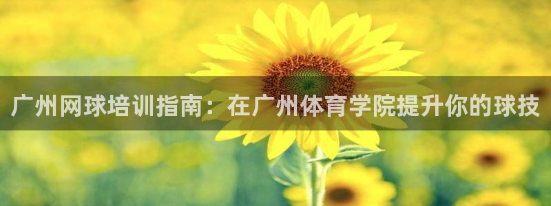 富联申购可以赚多少钱：广州网球培训指南：在广州体育学