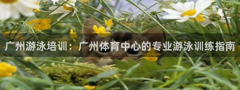 富联娱乐官方网站首页下载：广州游泳培训：广州体育中心