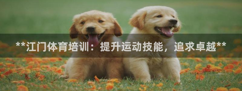 富联娱乐服务站：**江门体育培训：提升运动技能，追求