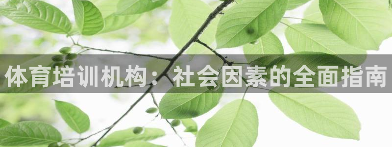 富联娱乐在线注册链接：体育培训机构：社会因素的全面指
