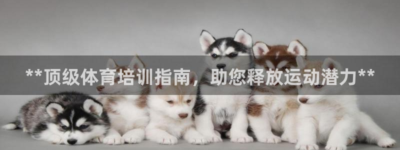 富联平台代理注册流程：**顶级体育培训指南，助您释放
