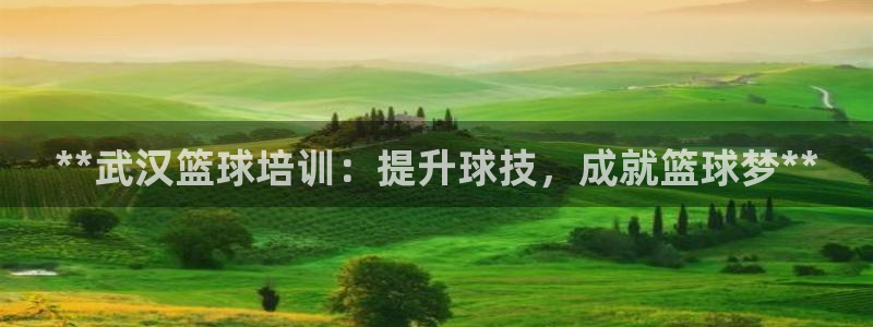 富联平台安装app：**武汉篮球培训：提升球技，成就