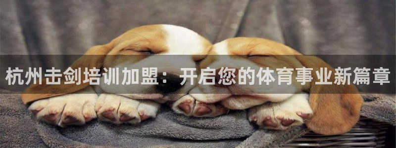 富联官方网站首页：杭州击剑培训加盟：开启您的体育事业