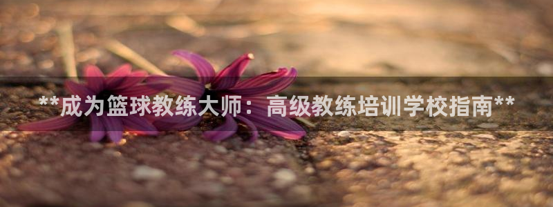 富联申购何时上市：**成为篮球教练大师：高级教练培训