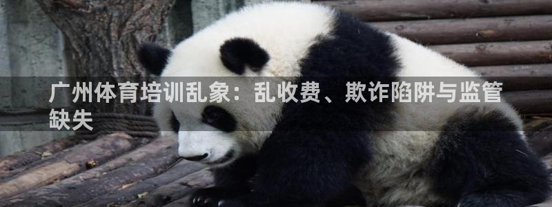 富联平台地址查询：广州体育培训乱象：乱收费、欺诈陷阱