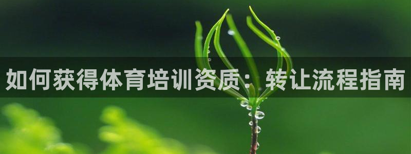 富联娱乐平台怎么样啊：如何获得体育培训资质：转让流程