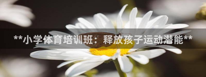 富联官方网站：**小学体育培训班：释放孩子运动潜能*