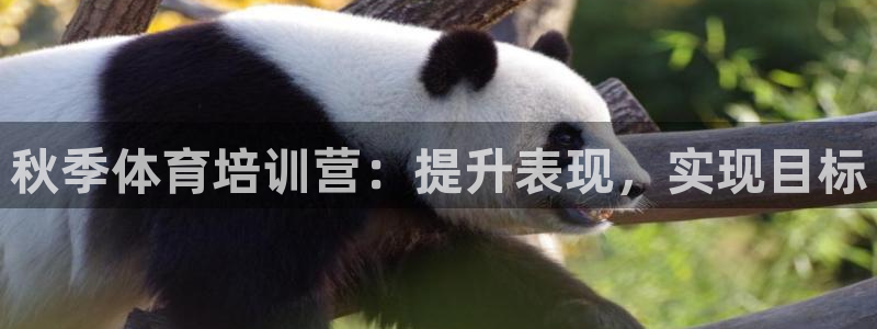 富联娱乐心 585341 娱乐：秋季体育培训营：提升
