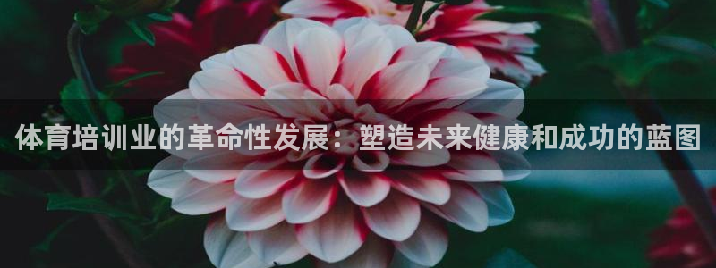 富联是什么软件：体育培训业的革命性发展：塑造未来健康