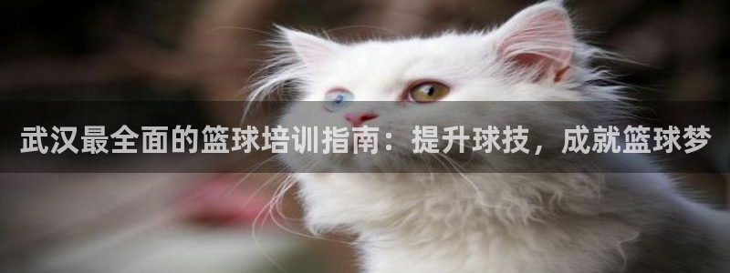 富联平台人 5O6917 富联：武汉最全面的篮球培训