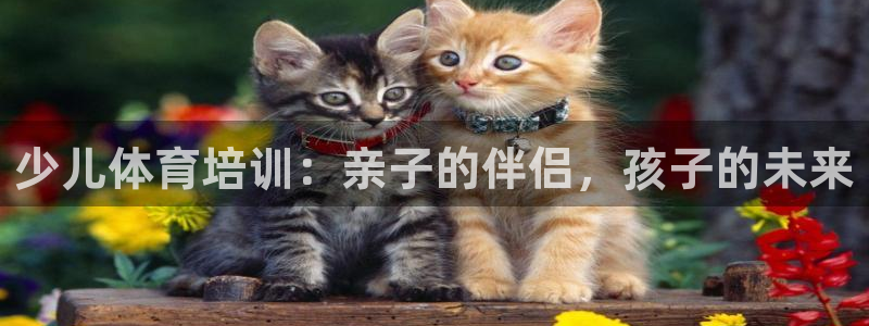 富联娱乐怎么样：少儿体育培训：亲子的伴侣，孩子的未来