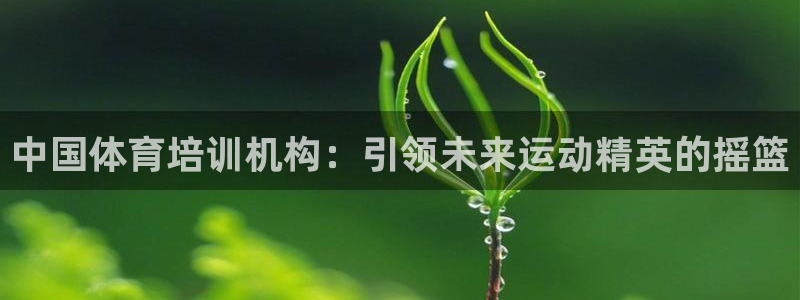 富联公寓租房怎么样：中国体育培训机构：引领未来运动精