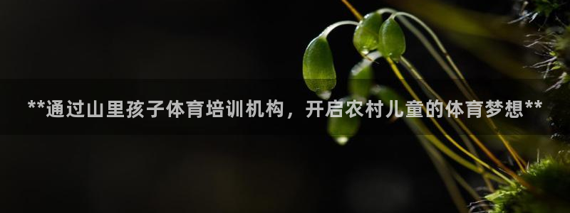 富联平台招商电话：**通过山里孩子体育培训机构，开启