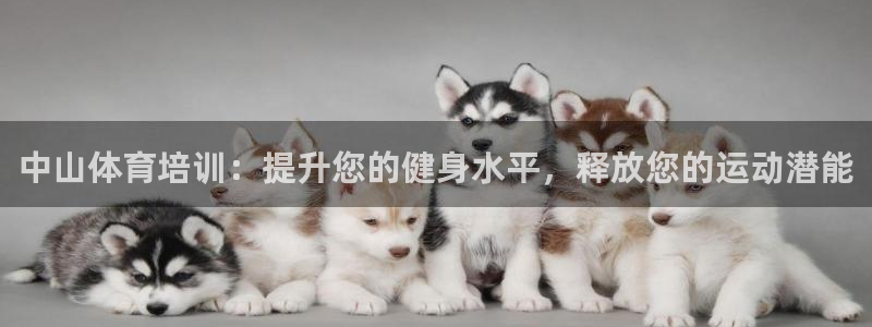 富联娱乐测速登录失败：中山体育培训：提升您的健身水平