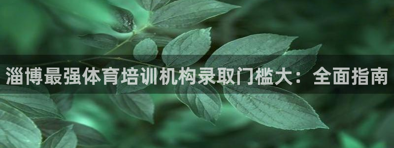 富联官方网站下载安装：淄博最强体育培训机构录取门槛大