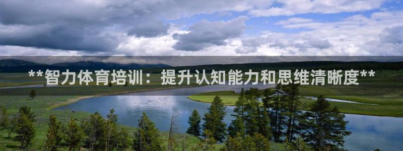 中国富联股票行情：**智力体育培训：提升认知能力和思