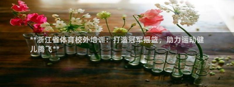 富联平台注册地址是哪里：**浙江省体育校外培训：打造