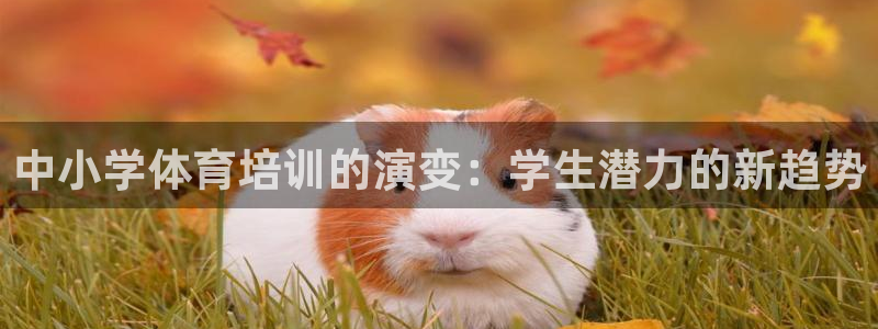 富联娱乐登录注册入口官网网址：中小学体育培训的演变：学生潜力