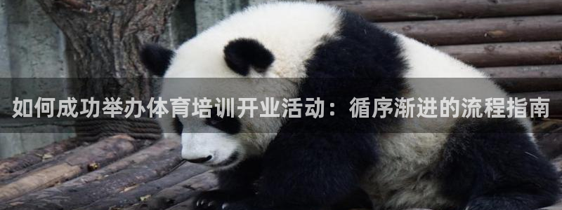 富联娱乐股东：如何成功举办体育培训开业活动：循序渐进的流程指