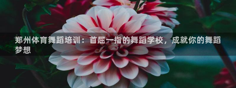 富联科技上市了吗最近：郑州体育舞蹈培训：首屈一指的舞