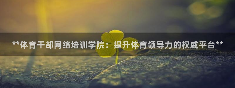 富联娱乐老板叫什么：**体育干部网络培训学院：提升体