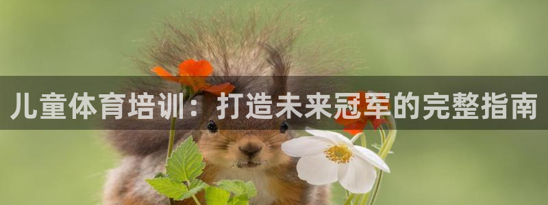 富联娱乐官方网站入口网址：儿童体育培训：打造未来冠军的完整指