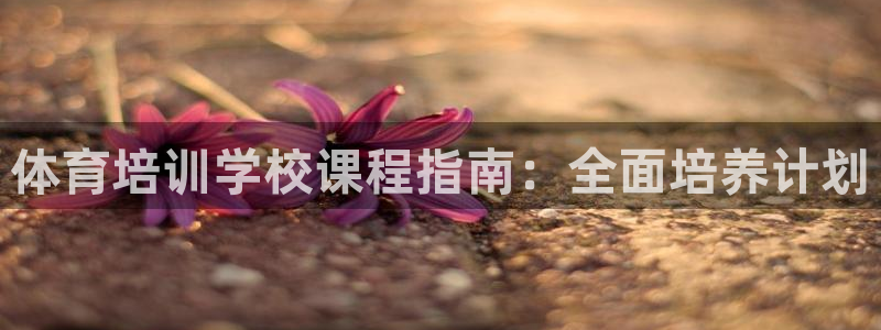 富联平台官网首页：体育培训学校课程指南：全面培养计划