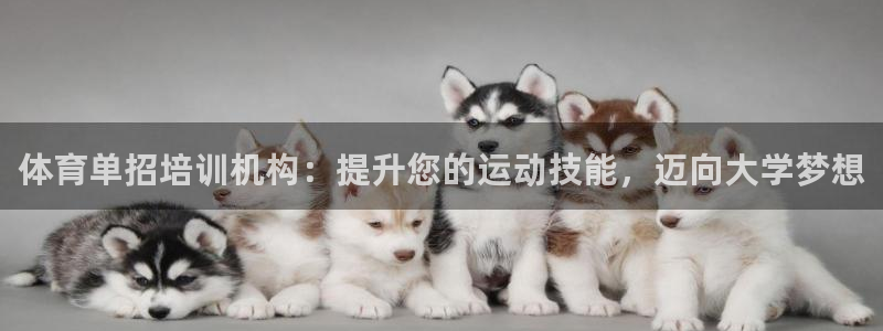 富联官方网站入口：体育单招培训机构：提升您的运动技能