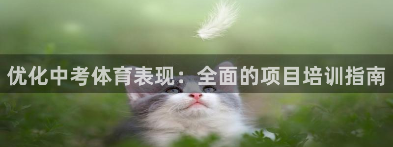 富联平台主管：优化中考体育表现：全面的项目培训指南